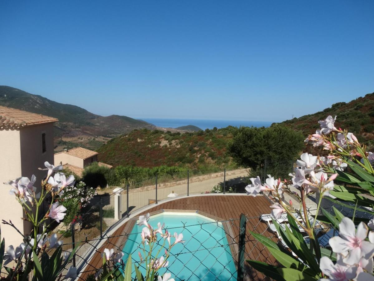 Gites Sassone, Vue Panoramique Sur Ajaccio Et La Mer Alata Exterior foto